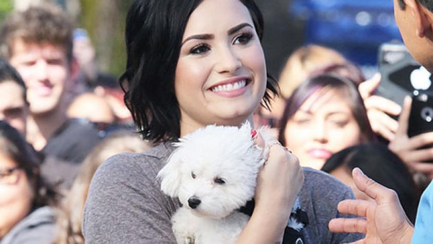 Demi Lovato devastada luego que un coyote se devorara a su amada mascota