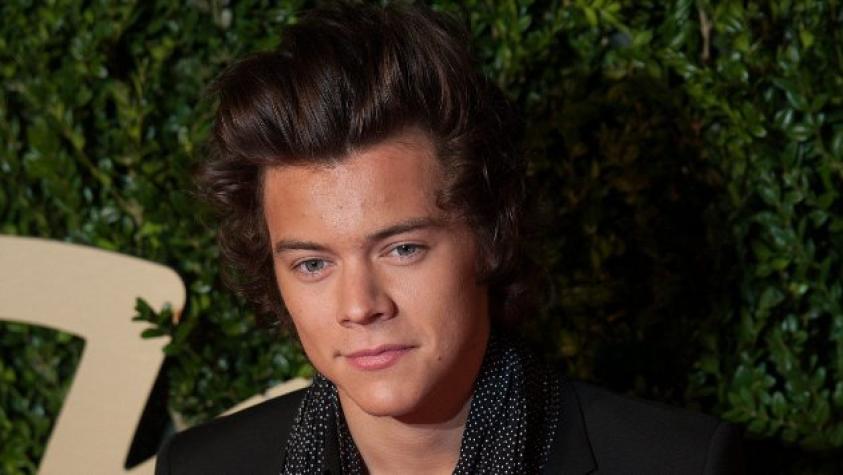 Harry Styles piensa que sus compañeros son “estúpidos”