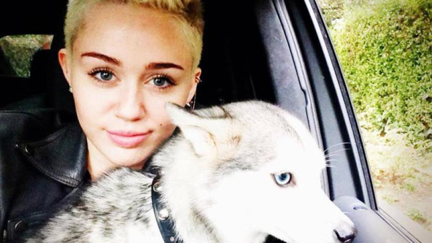 La fiesta con la que Miley Cyrus conmemoró la muerte de su perro