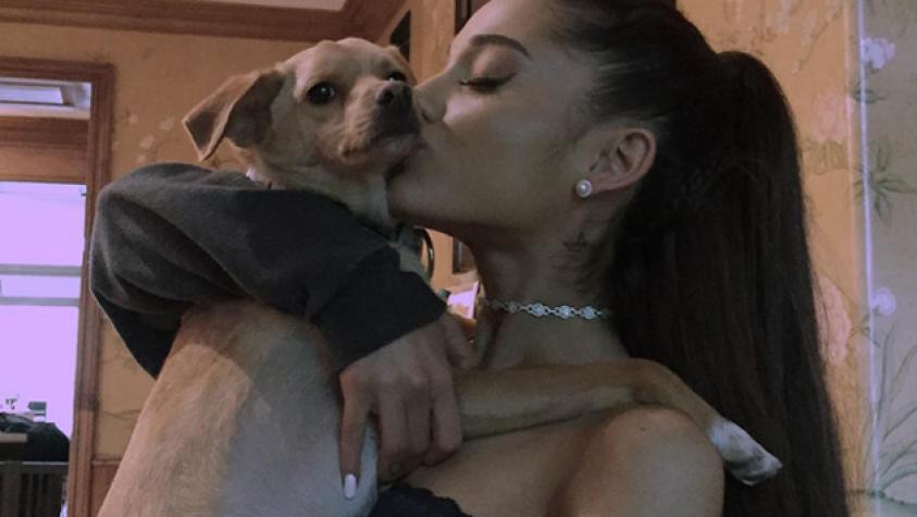 Fanática de Ariana Grande es igualita a su ídola