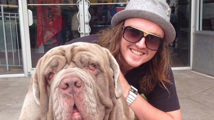 Twitter es el nuevo ring de los famosos