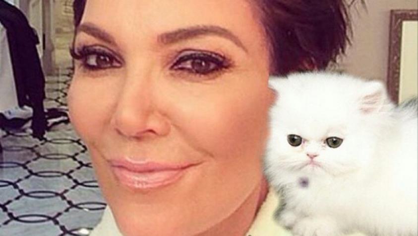 Miley Cyrus se trastorna con nueva y tierna mascota ¡Le creo un Instagram!