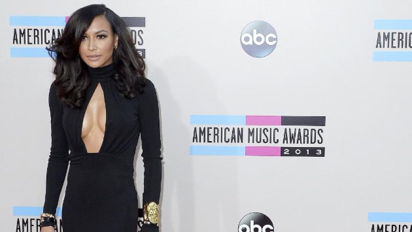 ¿Naya Rivera agrandó su delantera?