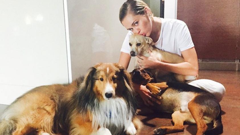 Miley Cyrus se desnuda con su cochinito para la portada de la revista “Paper”