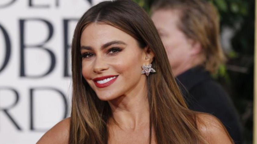 ¡La guapa Sofía Vergara está soltera!