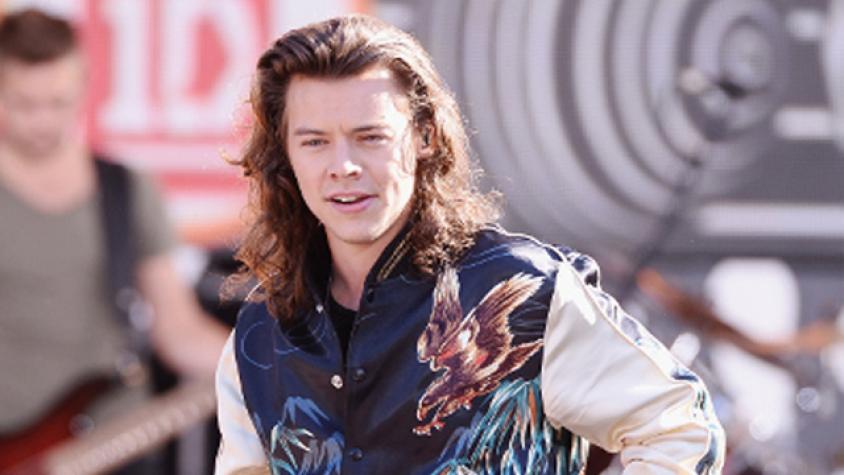Primera novia de Harry Styles lo va a ver a un concierto