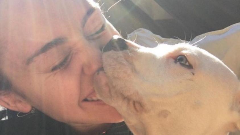 Miley Cyrus le hizo la manicure a su perro