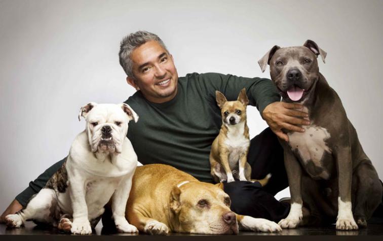 ¡El encantador de perros se casa!