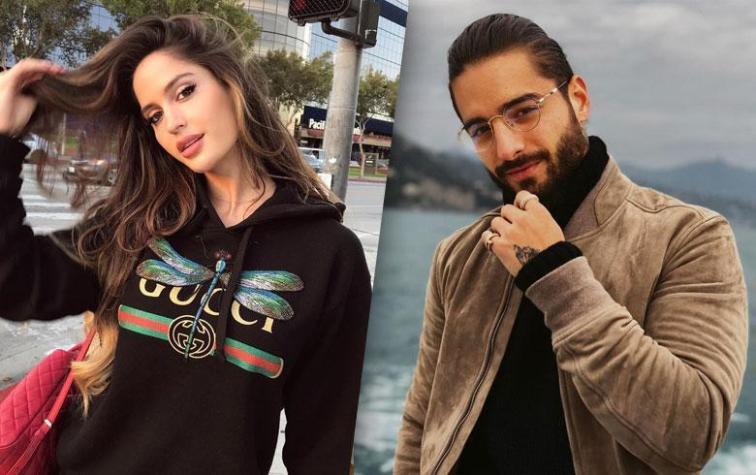 Celebrity pets: las mascotas famosas también tienen verano