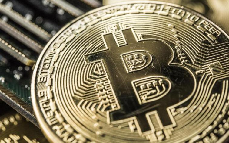 Crean curiosa criptomoneda inspirada en un popular meme