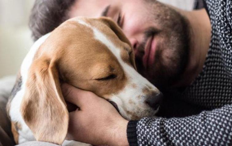 Perros protagonizan serie de Netflix
