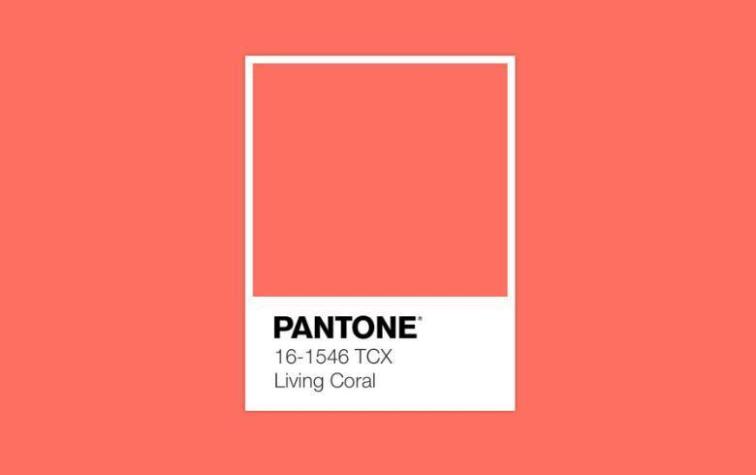 Ideas para sacarle provecho al coral, el color del 2019