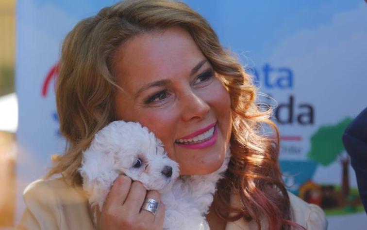 Polémica por mural con rostro de Cathy Barriga en conocido liceo de Maipú