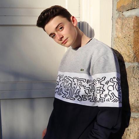 Noah Schnapp adelanta que Stranger Things tendrá otra temporada