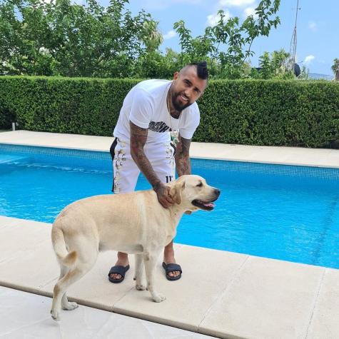 Arturo Vidal presentó los dos cachorros que le regaló a sus hijos