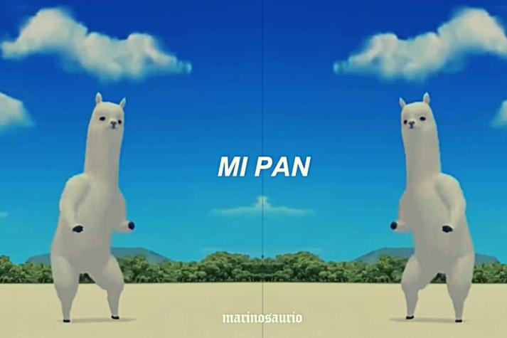 “Mi pan, su su sum”: El origen del hit del momento que arrasa en Tik Tok