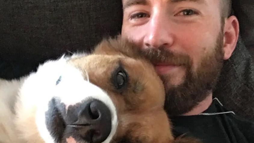 Chris Evans busca lo único que le falta para ser feliz