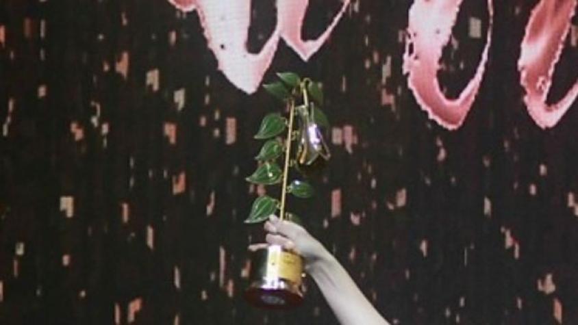 Conoce acá a los nominados al Copihue de Oro 2023