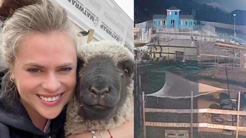 Eliana Albasetti revela video que muestra a sujetos ingresando a robar a su santuario